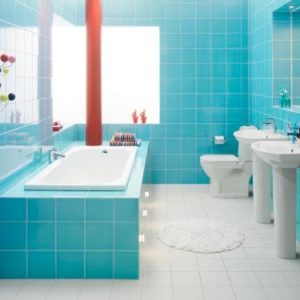 bath (263/360)